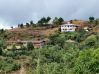 Domolpos_MountUgu_Lakbay-Aral_2009_0062.jpg